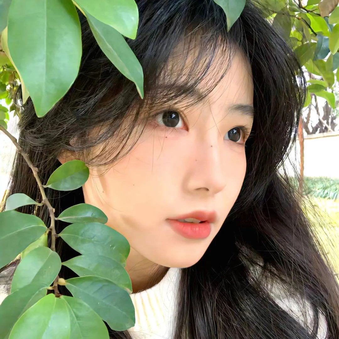 大山里的春天